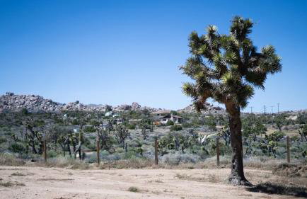 Wind Desert Spirit Pioneertown - Foto 30