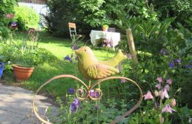 Familiennest Vogelwuid - Photo 3