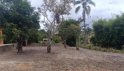 Sitio Engenho em Itabira - Foto 4