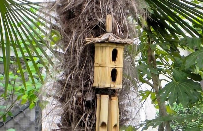 Palazzo Soderini - Photo 39
