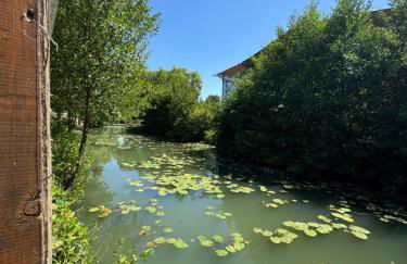 Studio St Florentin 2 - Foto 21