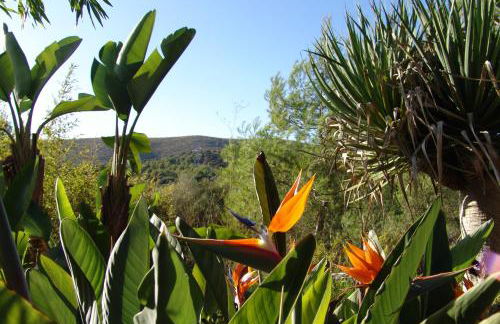 Finca Almendra - Photo 29