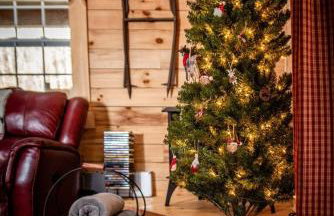 Hocking Hills Cabin, Hot Tub, Private Pond - Foto 30