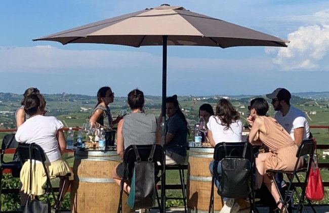 Dégustation de vins avec le producteur Visite la cave e vignoble - Photo 8