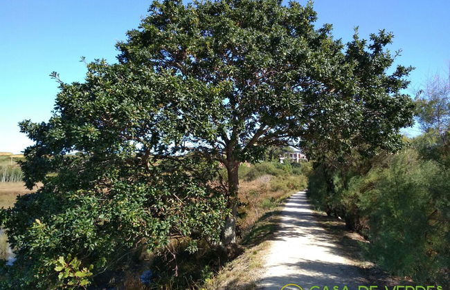 Casa de Verdes - In Cabana de Bergantinos - Photo 149
