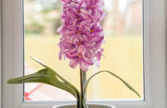 Pine Trees - 4 bed home in The Witterings - Foto 8