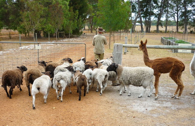 Margaret River Hideaway - Foto 45