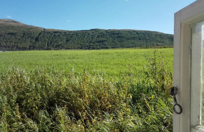 Driva Hytter - Foto 20