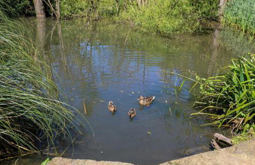 Belvedere Farm - Foto 73