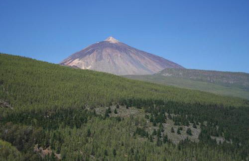 Jungle Paradise - Foto 52