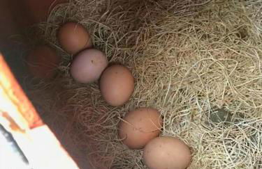 Rare River Views & Access, Cabin by Eden Islands - Foto 57