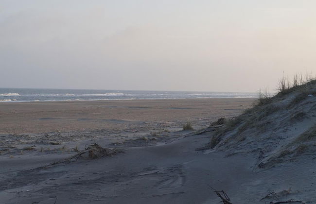 Hotel Tannishus - Foto 37