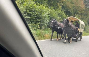 Casa Siepelunga - Photo 8