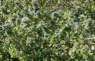 Holiday Home La Batterie by Interhome - Foto 38