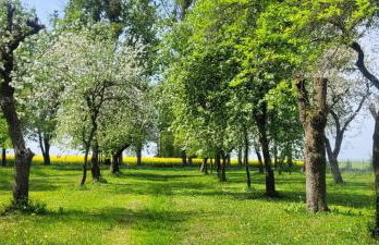 Agroturystyka Przy Rajskim Sadzie - Foto 28