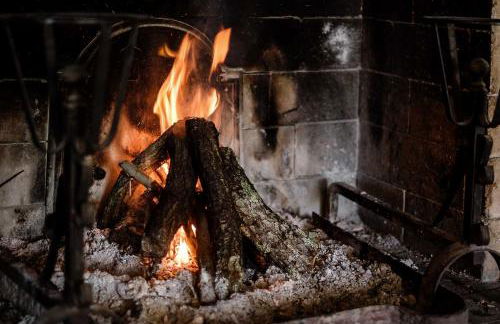 Az Agrituristica Bio Le Macchie Alte - Foto 91