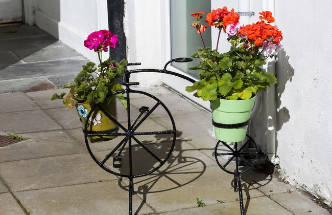 Dublin Vacation Rentals - Photo 58