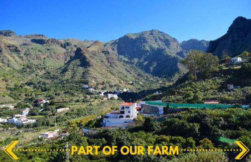 Casa Camino Tamadaba - Foto 1