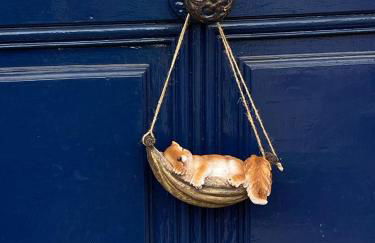 Charmante maison bourguignonne avec grand jardin et parking - Foto 18