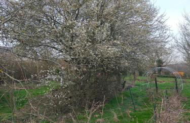 Gîte Se Sentir Libre - Photo 37