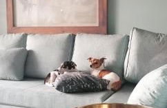 Beach & Golf Design Apartment Marbella - Photo 13