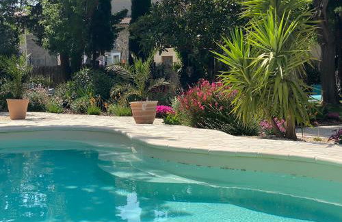 Maison du Midi, 2 Gîtes de charme - Foto 4