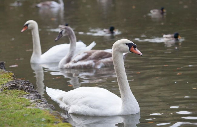 am Wehr Comfortable Holiday Residence - Foto 17