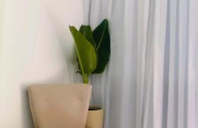 Casa pra temporada 3 quartos 10 km de Cabo frio - Foto 30