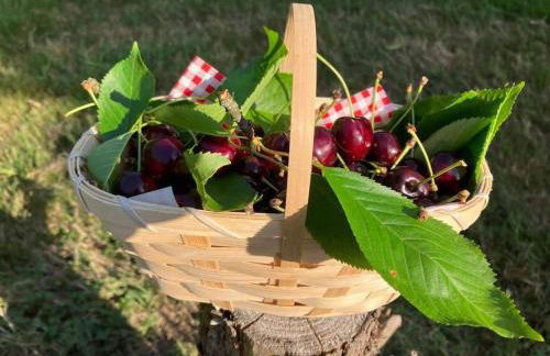 Gite l'Échapée Belle dans les Vosges - Foto 33