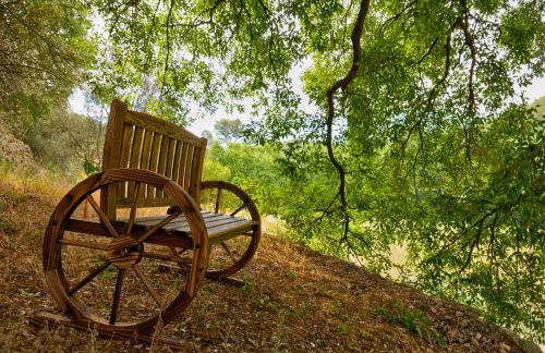 L'Olivier Fleurie Barjols - Foto 9