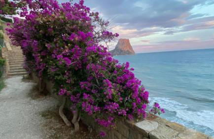 TIMORA SEA VIEW New Apart' Hipocampos - Photo 64