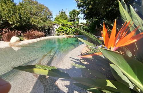 Au lagon de thau - Foto 7