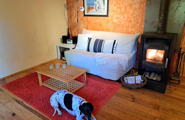 Apartment in Alsace With Nature Retreat - Foto 1