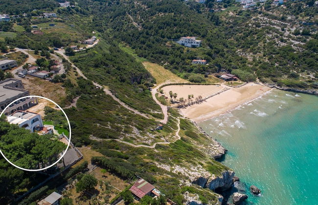 2936 Villa D`aria by Barbarhouse - Photo 38