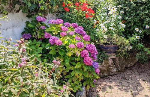 VIEUX PASSAGE, Maison avec cour privée à 150 m du PORT et de la PLAGE - Foto 26