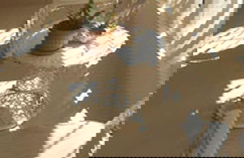 Family Suite - Apartment 1 in Villa Coconut - Photo 7