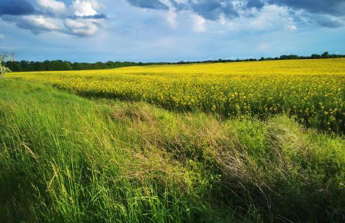 Landhaus Arcadia in Paretz - Foto 53