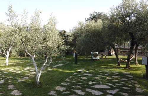 Il Mandorlo - Foto 56