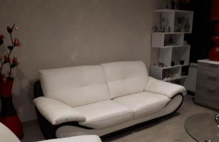 25 Rue Raymond Braillard - Foto 4