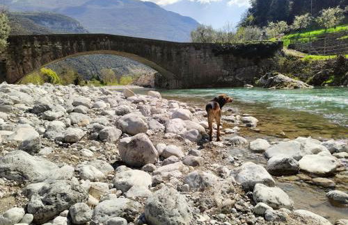 Alma Andaluza - Holiday Apartments - Foto 42