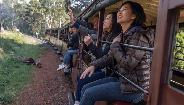 Puffing Billy Railway and Wildlife Tour - Photo 3