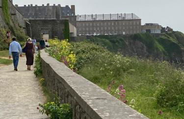 Appartement Haute Ville meublé avec cour privative - Foto 29