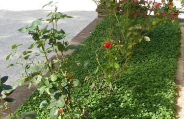 Agriturismo Podere Tresa - Photo 3