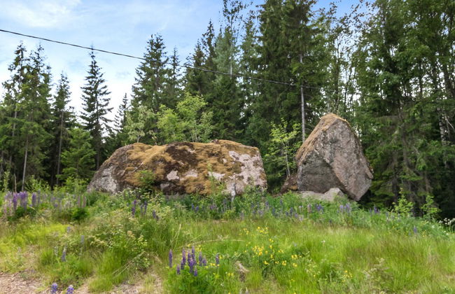 Villa pihlaja - Foto 22