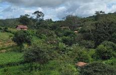 Lindo Chalé Suiço em Mulungu - Foto 36