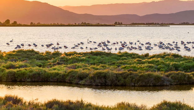 Um passeio para todas as idades