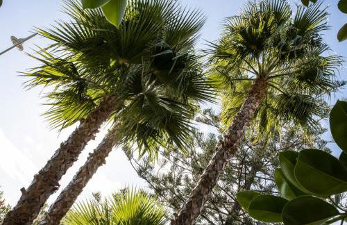 Apartamento en primera línea de playa con piscina - Photo 58