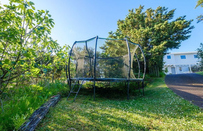 Palm Ridge - near Onetangi & Palm Beach - Foto 19