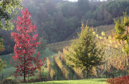 Apartment with large covered terrace, in small residence with swimming pool - Foto 97