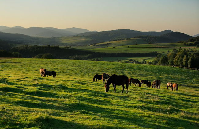 Końska Dolina - Photo 47